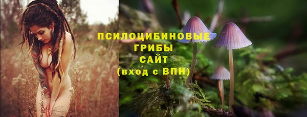 гашишное масло Богородск