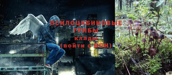 мет Богданович
