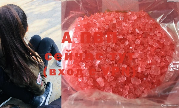мет Богданович