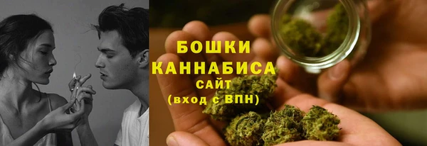 гидра Бородино