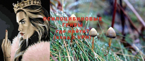 гашишное масло Богородск