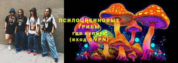 гидра Бородино