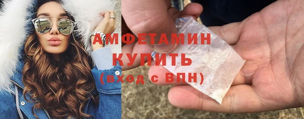 гидра Бородино