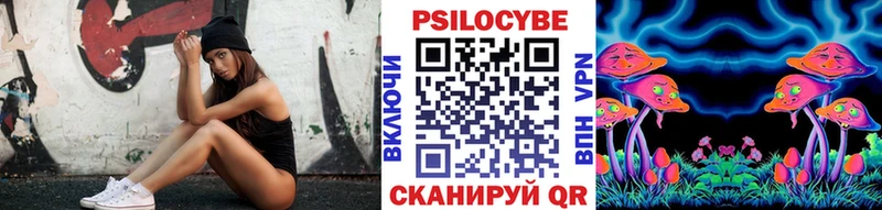 Псилоцибиновые грибы мицелий Курильск