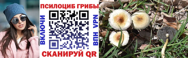 маркетплейс наркотические препараты  купить наркоту  Курильск  Галлюциногенные грибы ЛСД 